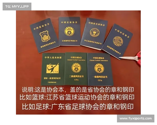 中国排协公布裁判培养计划 国家级裁判人数将增至120人推动排球裁判水平提升 中国排协公布裁判培养计划 国家级裁判人数将增至120人推动排球裁判水平提升